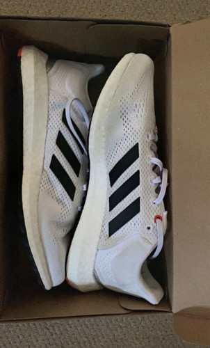 Adidas men white low - adidas,